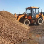 Фото №3 Керамзит 10 20. микрорайон Электроника, Отрожка, Краснолесный.