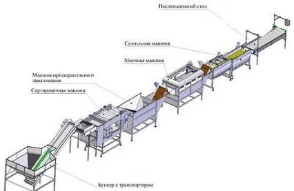 Фото Линия предпродажной подготовки овощей.