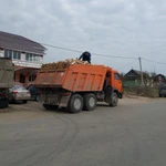 Фото №2 Дрова Берёзовые.