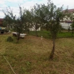 Фото №3 Продам земельный участок 24 сотки в Подмосковье