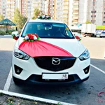 Фото №199 Свадебные машины, лимузины, микроавтобусы в Липецке