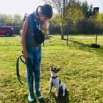 Фото №2 Дрессировка собак кинолог
