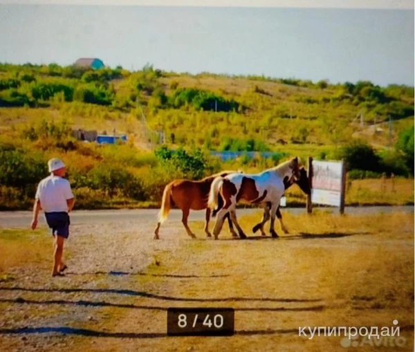 Фото Дом 280 м2