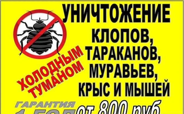 Фото Уничтожение клопов, тараканов, клещей, комаров