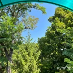 Фото №10 Сдам 1-к квартиру в парке