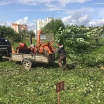 Фото №4 Аренда измельчителя веток и деревьев, Талдомский район.