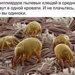 Фото №5 Химчистка ковров и мягкой мебели Псков