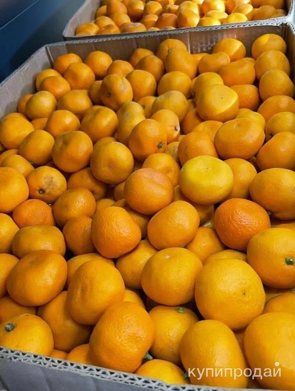 Фото Отправка с Абхазии