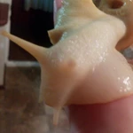 Фото №3 продаются