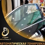 Установка двойных стекол.Тонировка г.Строитель