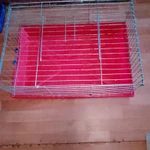 Фото №5 Клетки для грызунов 2 штуки можно отдельно