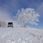 Фото №3 Встретим с жд Вокзала Аэропорта поездки на экскурс