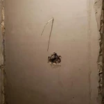 Фото №2 Штукатурка