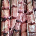 Фото №2 Сом клариевый