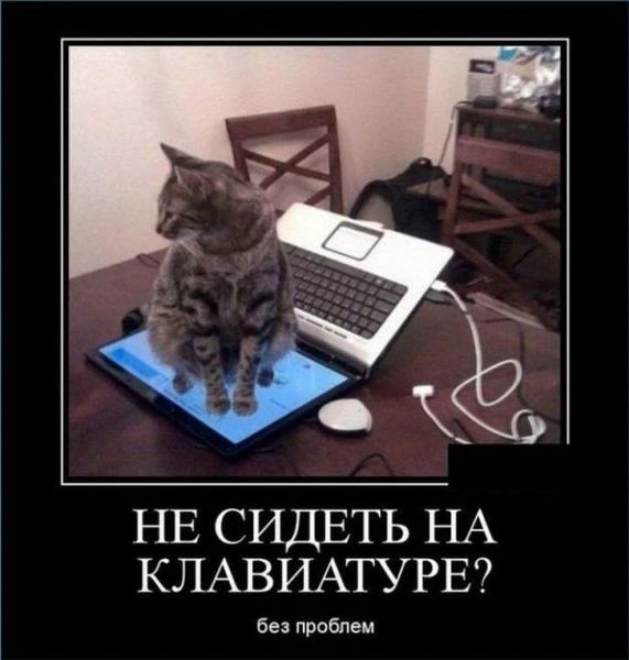 Фото НАстройка интернета