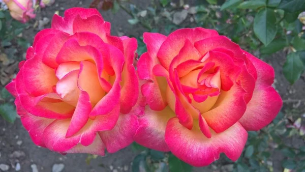 Фото Уборка квартир