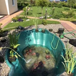 Фото №10 Культивация земли минитрактором