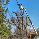 СПИЛ ДЕРЕВЬЕВ ЛЮБОЙ СЛОЖНОСТИ 