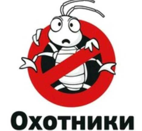 Фото Дезинсекция,истребление клопов,тараканов,клещей