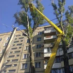 Фото №2 СПИЛ ДЕРЕВЬЕВ, ОБРЕЗКА 