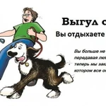 Выгул собак