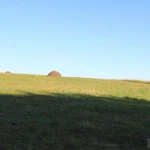 Фото №4 ⭕ЗЕМЛЯ 32,1га. ЛЕС, БОЛЬШОЙ РУЧЕЙ.