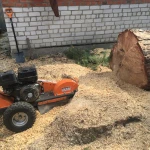 Фото №2 Расчистка участков. Корчевание. Измельчитель веток 
