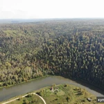 фото Липовый мед башкирский