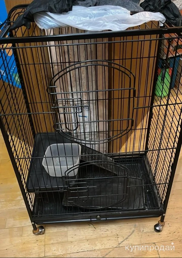 Фото Клетка