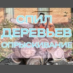 Покос травы, опрыскивание участка, спил деревьев