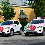 Фото №8 Свадебные кольца на автомобиль