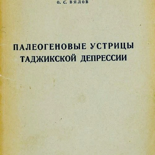 Фото Распространение рекламы