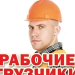 Грузчики/Газель 15м подача)