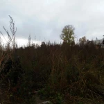 Фото №2 покос выкос травы кустарника бурьяна сухостоя