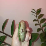 Фото №3 Сувениры Artstones