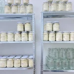 Фото №6 Ежовик Гребенчатый оптом или СТМ