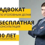 Адвокат по уголовным делам