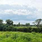 Фото №2 Земельный участок 12 соток ЛПХ в деревне Кочериново