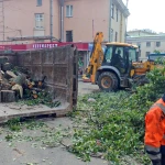 Вырубка, спил, валка деревьев