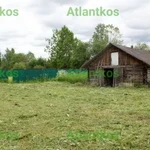 Фото №6 Покос высокой травы зарослей от 10 соток. Качество