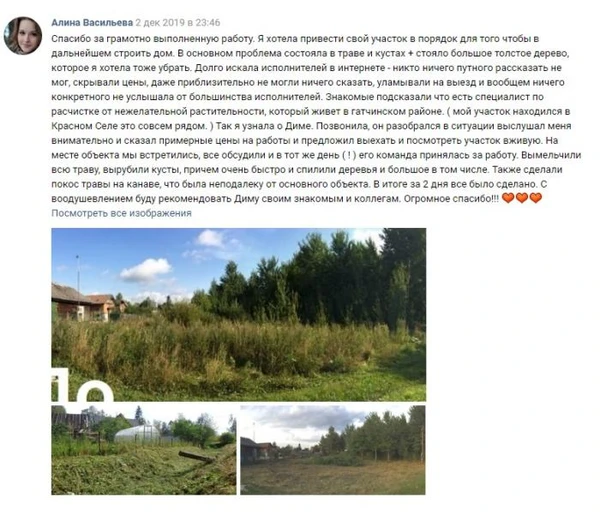 Фото Расчистка участка от кустарника и деревьев. ОТЗЫВ КЛИЕНТА.