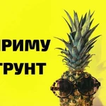 Приму грунт