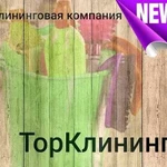 Торклининг