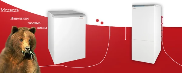 Фото Ремонт газовых котлов Protherm по всей области