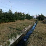 Фото №2 Разнорабочие,Спил кустарников, Расчистка участка