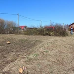 Фото №10 Уборка участка от кустарника и деревьев. ОТЗЫВ КЛИЕНТА. 