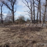 Фото №2 Дом 40 м2