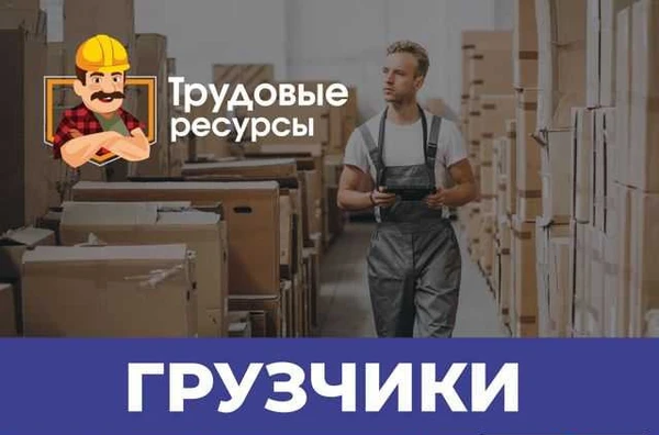 Фото Грузчики