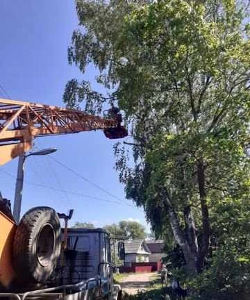 Фото Аренда автовышки 18м. Спил аварийных деревьев