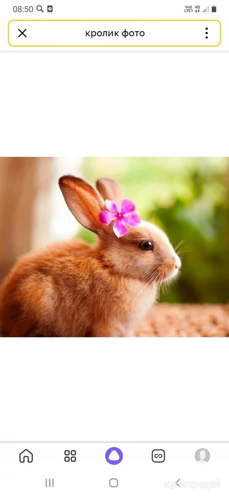 Фото Продам